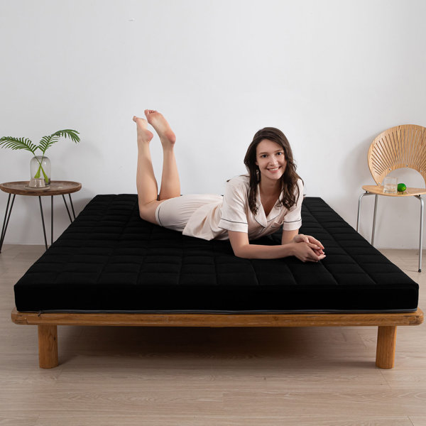 Alwyn home shop futon mattress